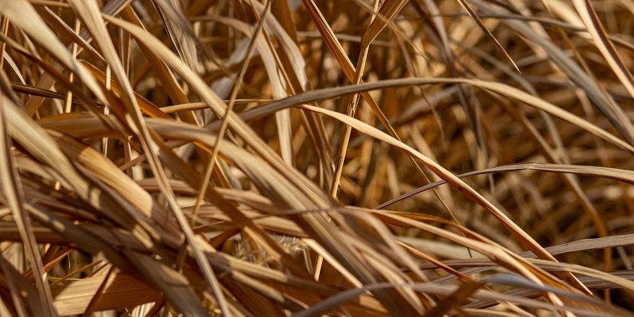 Straw перевод